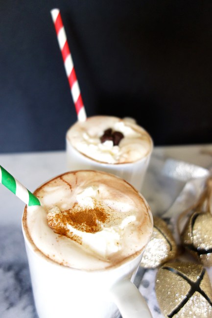Straws-in-Cinnamon-Hot-Cocoa
